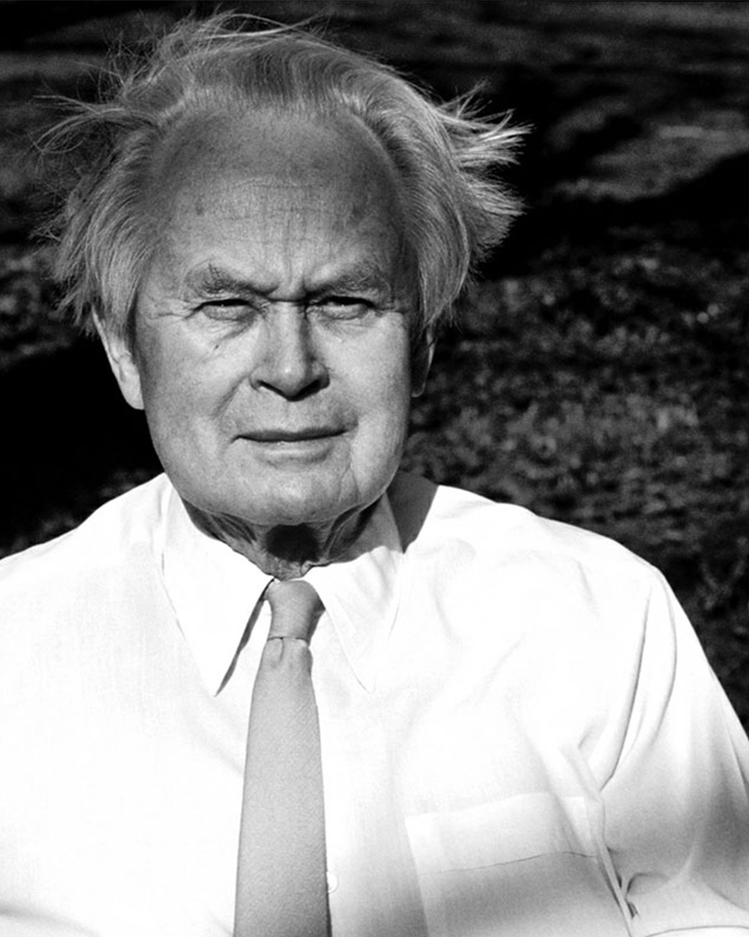 Piet Hein