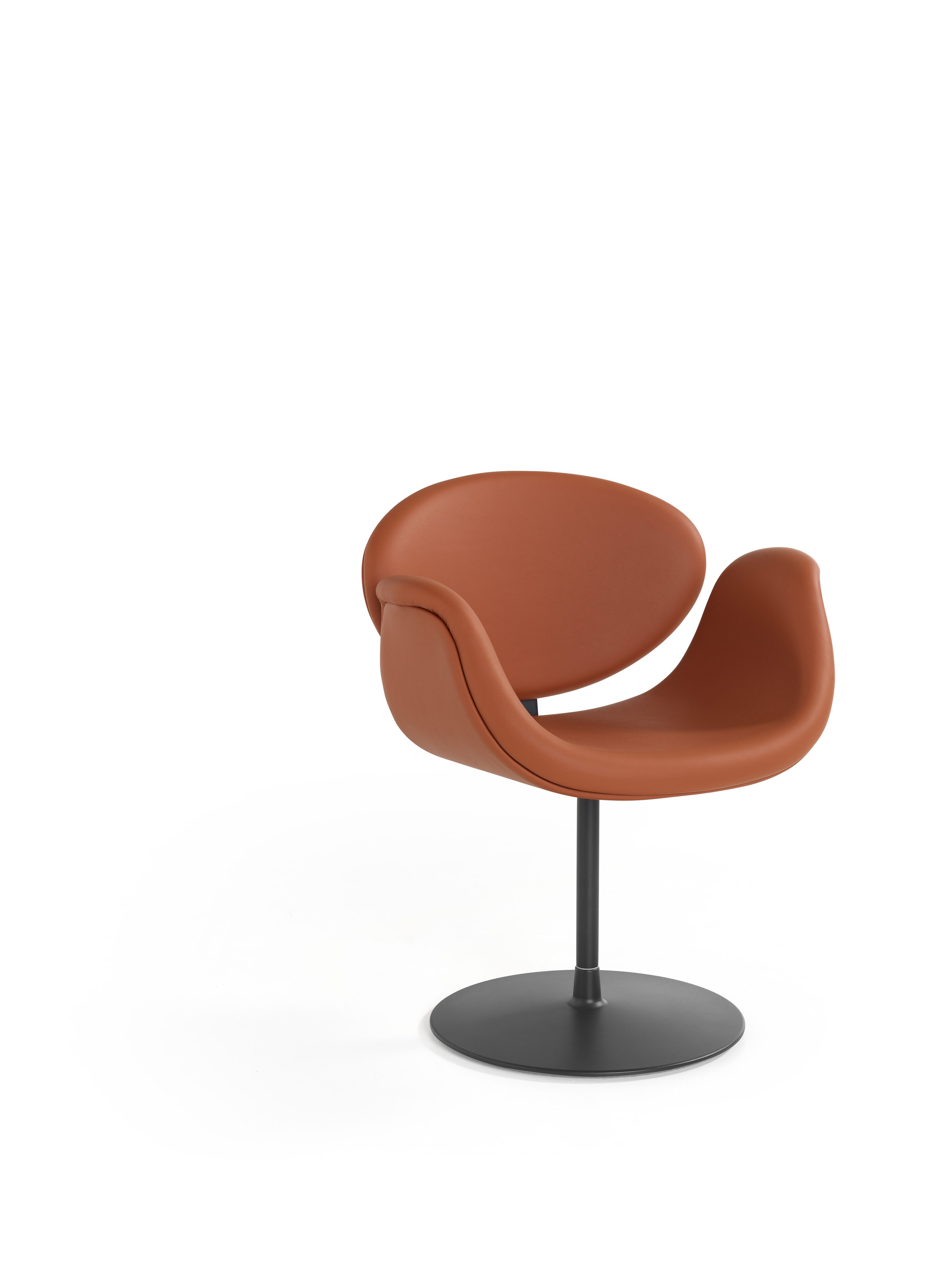 Little Tulip leather 1 A HR