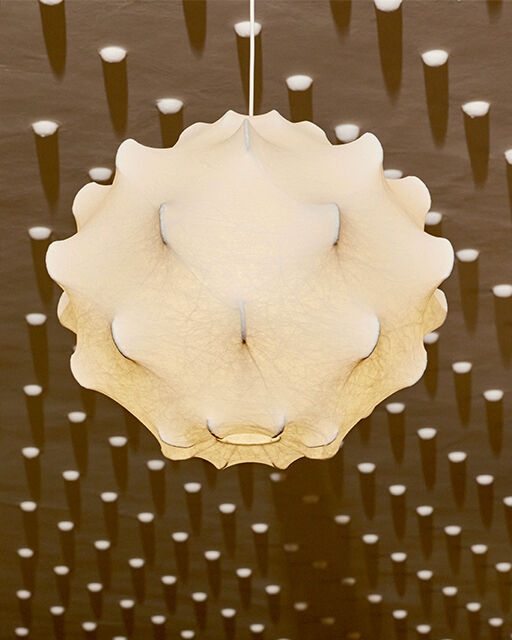Viscontea icon